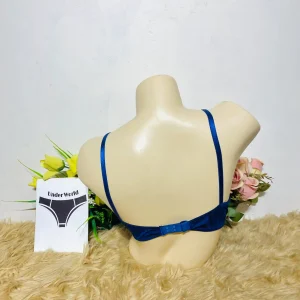 Pushup Bra