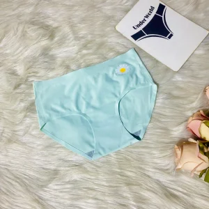 Seamless Panties