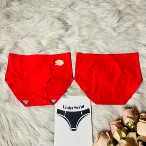 Seamless Panties